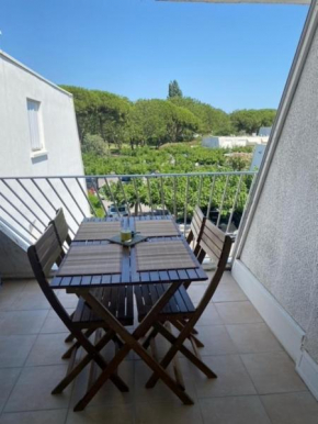 La Grande-Motte Appt 4 personnes terrasse et parking privé